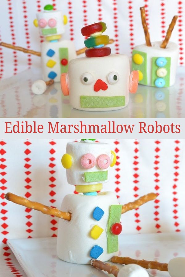 You can make a robot out of pretty much anything, as these Robot Crafts for Kids prove! Get out those craft supplies, search the trash can & let's go!