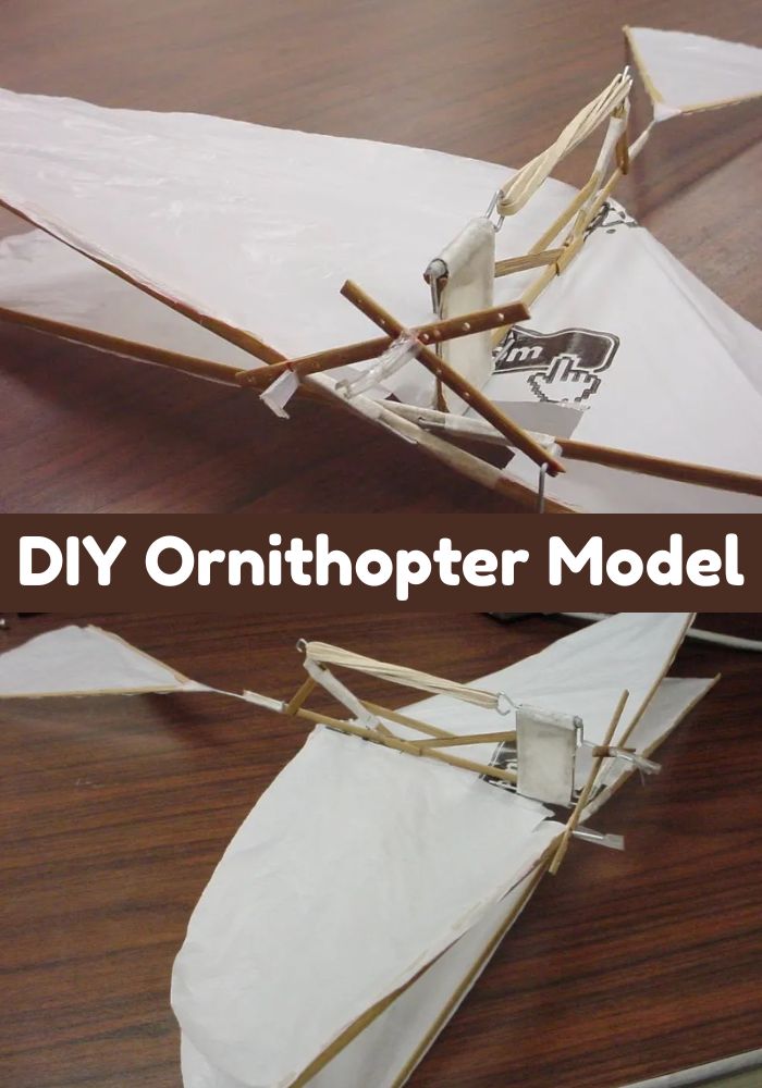 20 Legendary Leonardo da Vinci Projects for Kids 5 Today, we explore some Leonardo Da Vinci Projects for kids to learn more about the Renaissance man - a man of many talents, including artist, scientist, and inventor.