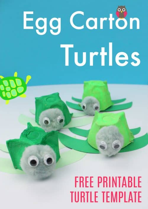 This summer, try out some fun turtle crafts and activities - perfect for World Turtle Day on May 23rd or World Sea Turtle Day on June 16th!