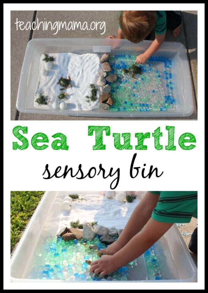 This summer, try out some fun turtle crafts and activities - perfect for World Turtle Day on May 23rd or World Sea Turtle Day on June 16th!
