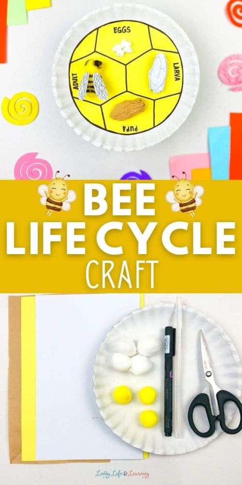 This World Bee Day, gather whatever you can find and make these cute bee crafts for kids! Clay, egg cartons, toilet rolls or craft sticks - use them all!