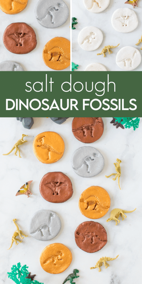 Let's go digging for fossils this ​National Fossil Day! Here are some fascinating fossil crafts for kids to make and learn all about fossils!