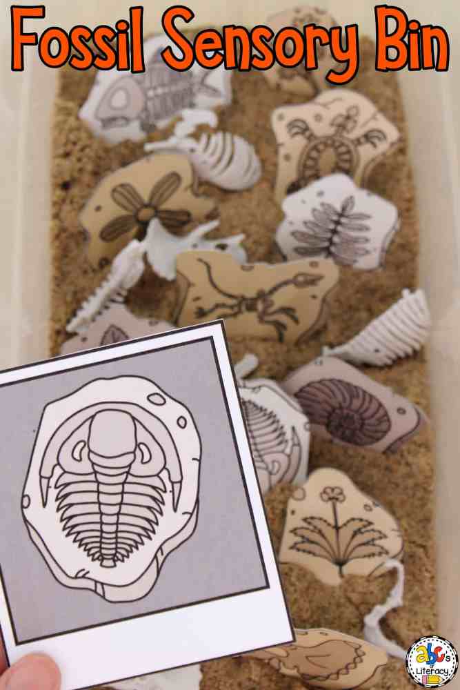 Let's go digging for fossils this ​National Fossil Day! Here are some fascinating fossil crafts for kids to make and learn all about fossils!