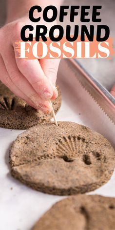 Let's go digging for fossils this ​National Fossil Day! Here are some fascinating fossil crafts for kids to make and learn all about fossils!