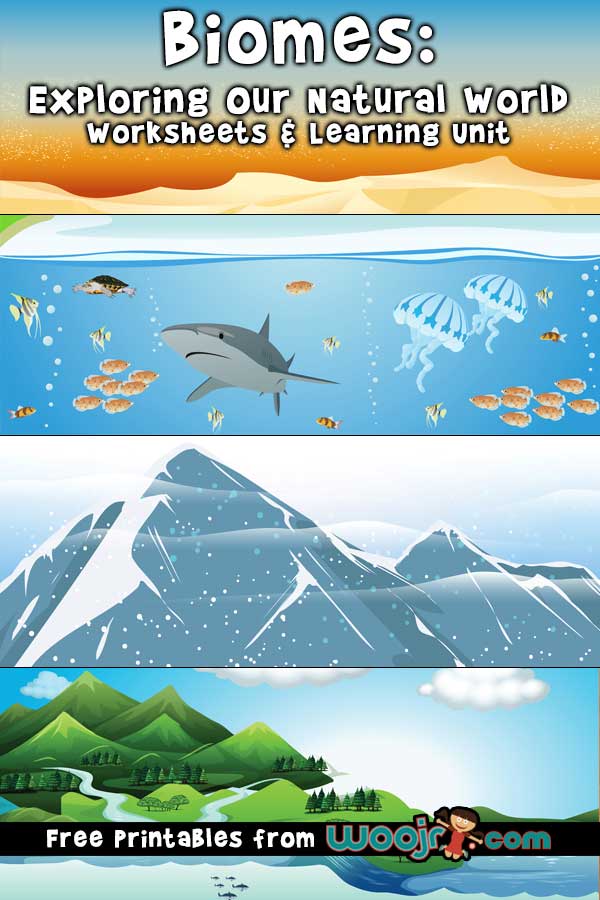These Wildlife Theme Activities For Kids are perfect to help our little ones learn more about our natural world and the creatures in it!