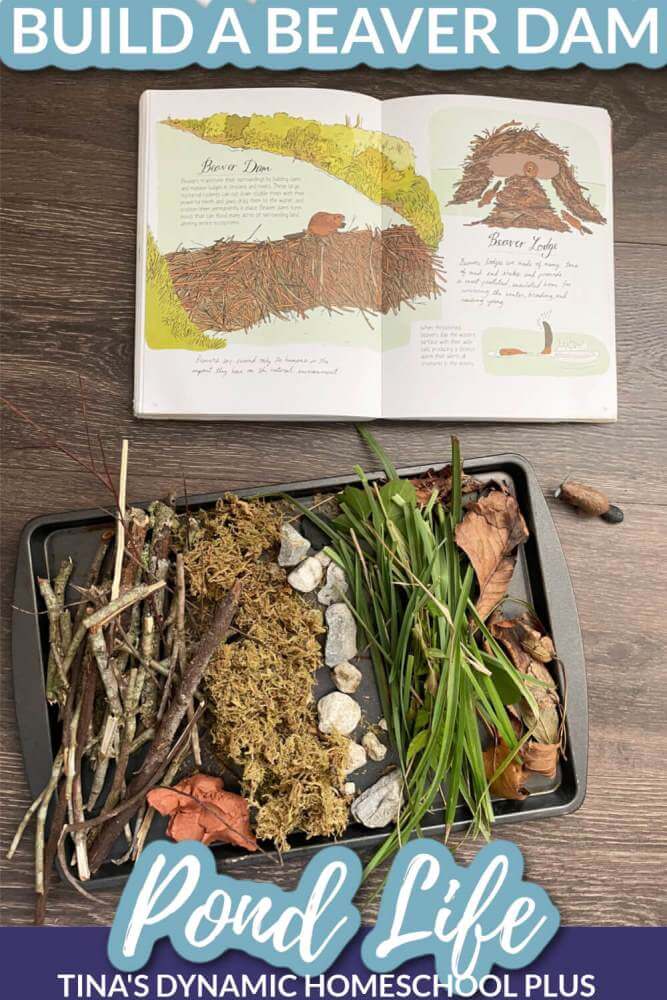 These Wildlife Theme Activities For Kids are perfect to help our little ones learn more about our natural world and the creatures in it!