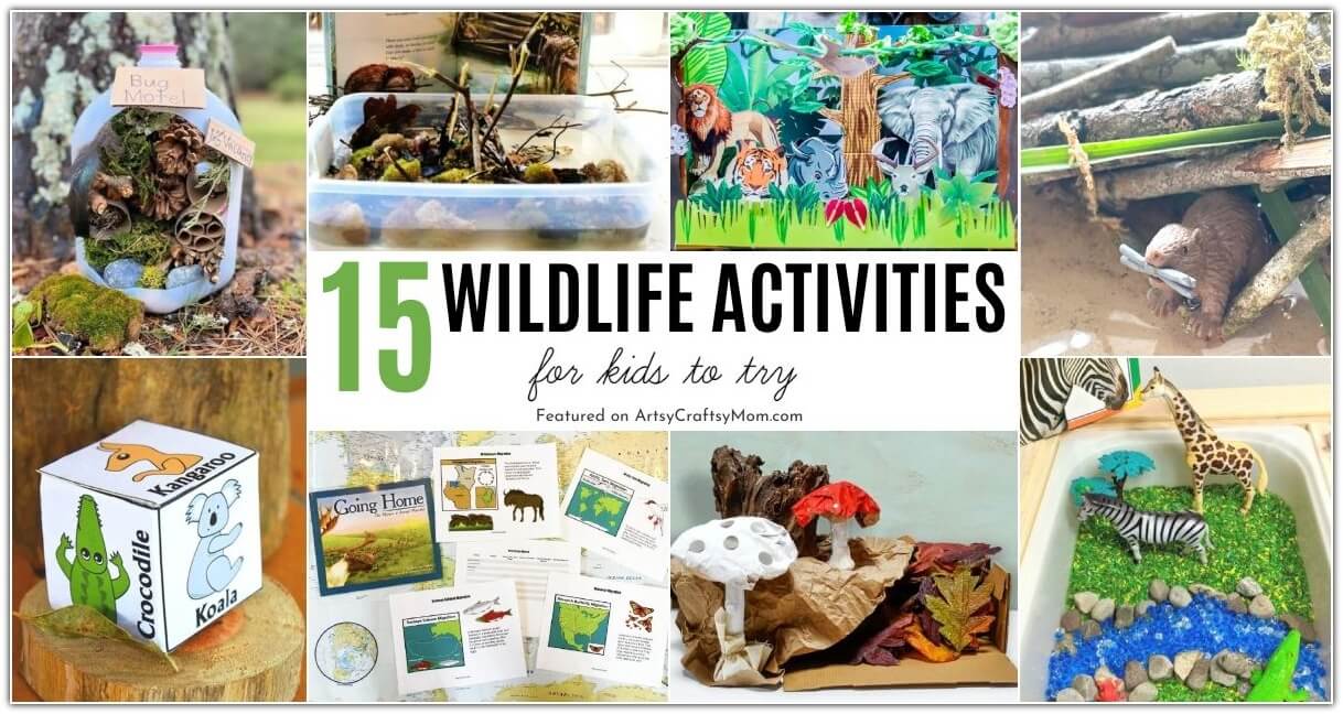 These Wildlife Theme Activities For Kids are perfect to help our little ones learn more about our natural world and the creatures in it!