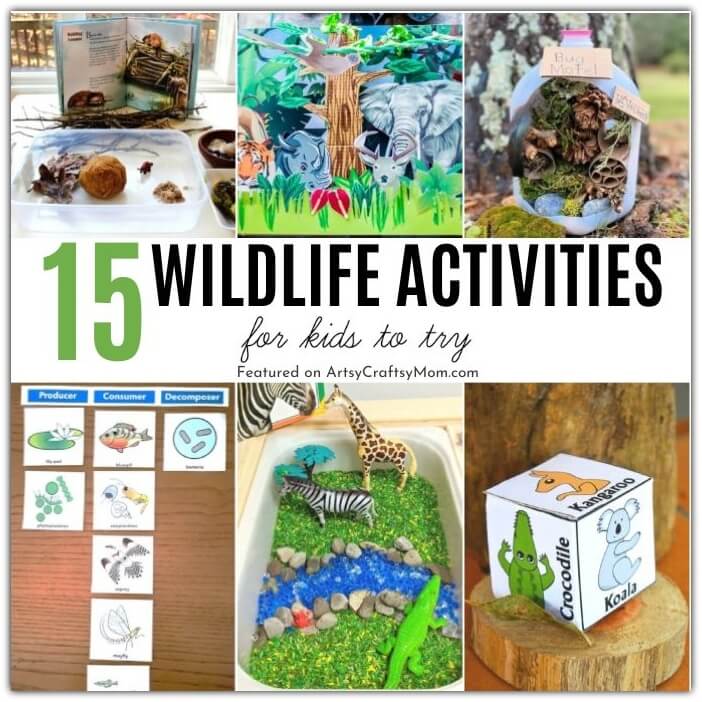 These Wildlife Theme Activities For Kids are perfect to help our little ones learn more about our natural world and the creatures in it!