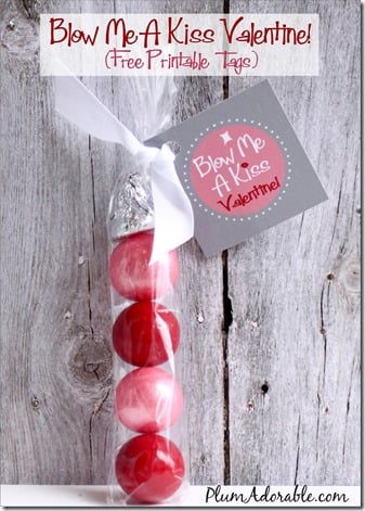 We’ve rounded up some of the cutest and most creative Classroom Valentine Ideas for Kids, so this year's Valentine's Day will be the best one yet!