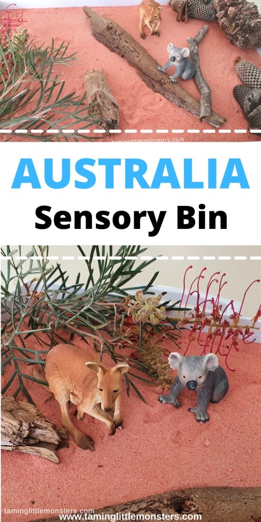 Celebrate the varied culture, monuments, flora, and fauna of Australia with these simple Australia Day Crafts for Kids! Includes koalas, kangaroos and more!